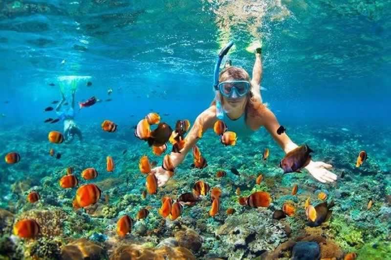 Diving and Snorkling
