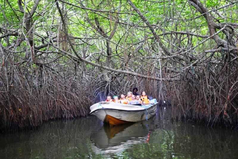 Madu river boat safari