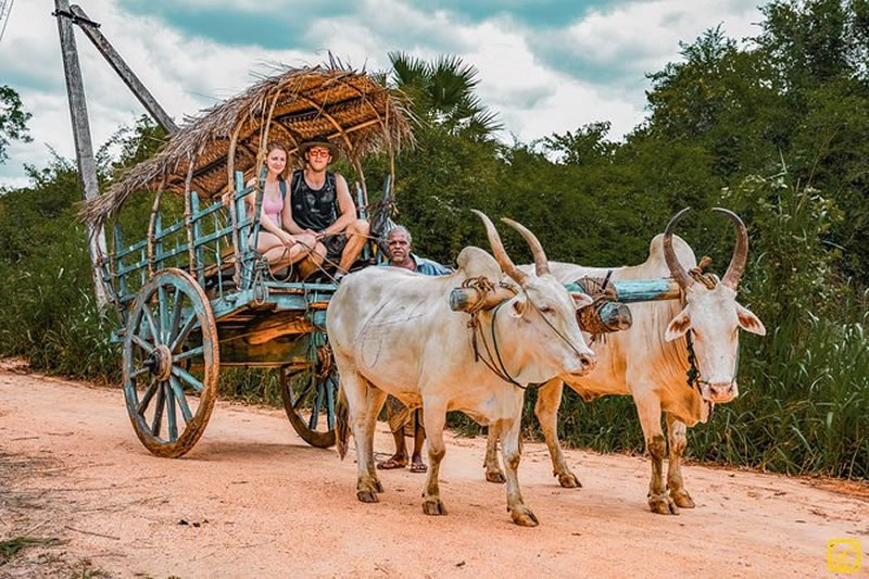 Traditional village tour